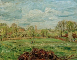 Spring Landscape